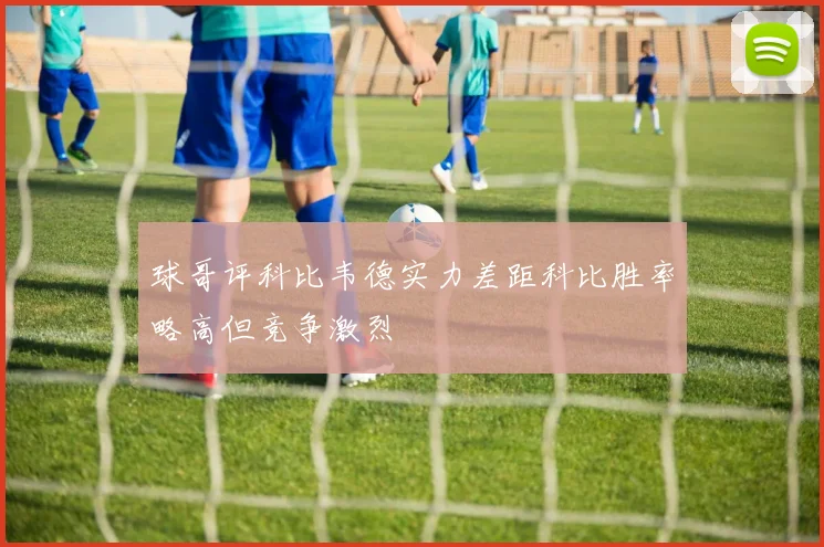 球哥评科比韦德实力差距科比胜率略高但竞争激烈