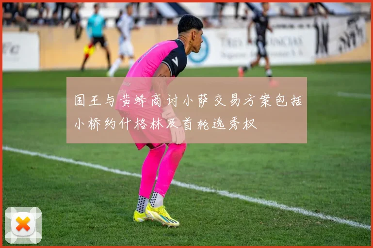 国王与黄蜂商讨小萨交易方案包括小桥约什格林及首轮选秀权
